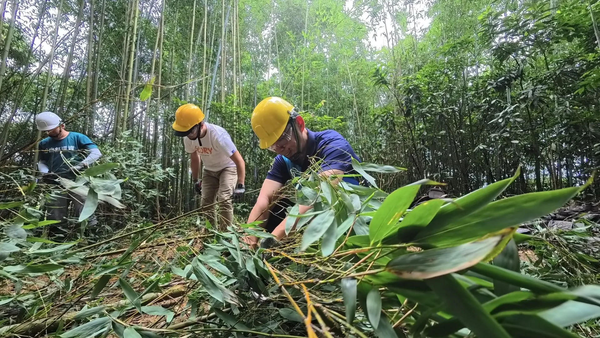 LINE_ALBUM_2025.06.16 發文用_250616_8